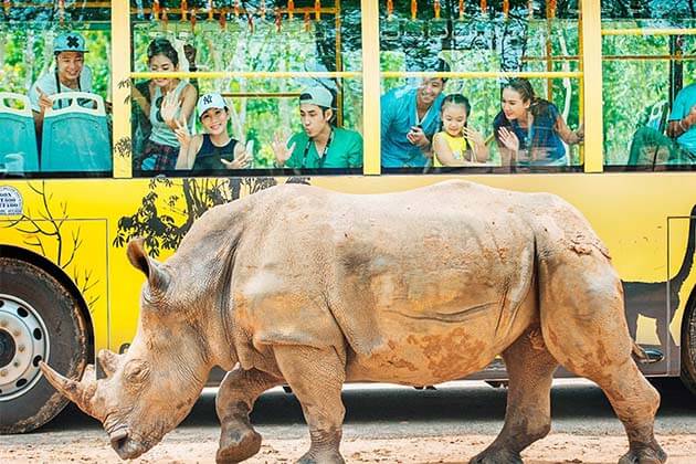 Kinh Nghiệm Tour Du Lịch Phú Quốc 4 Ngày 3 Đêm Khám Phá VinWonders và Safari