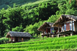 Dịch vụ homestay siêu xinh, siêu đáng yêu tại SaPa 1