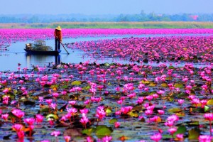 nhung-diem-den-tuyet-voi-o-thai-lan-vao-thang-10-ban-dung-bo-qua