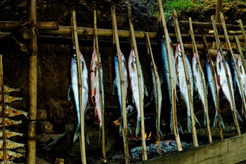 Đặc sản cá Măng tươi nướng