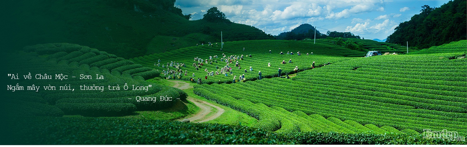 Vẻ Đẹp Mê Hồn Của Núi Rừng Tây Bắc - Du Lịch Netviet Travel