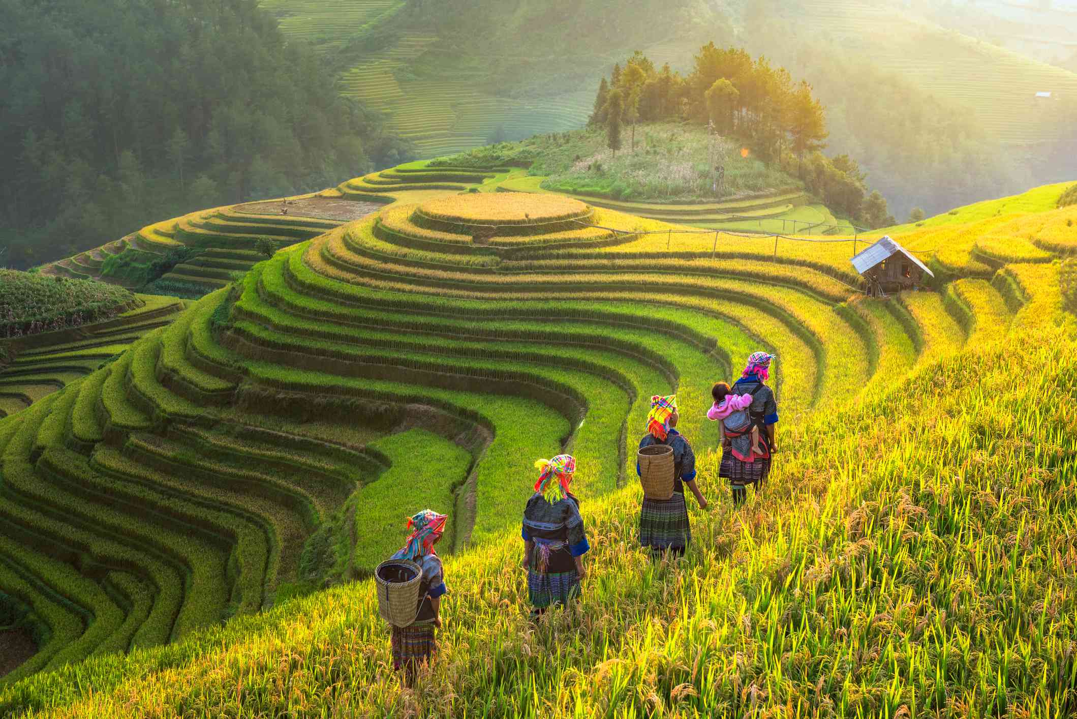 Ai cũng có một lời hẹn tại chốn thiên đường Sapa - Du lịch Netviet Travel