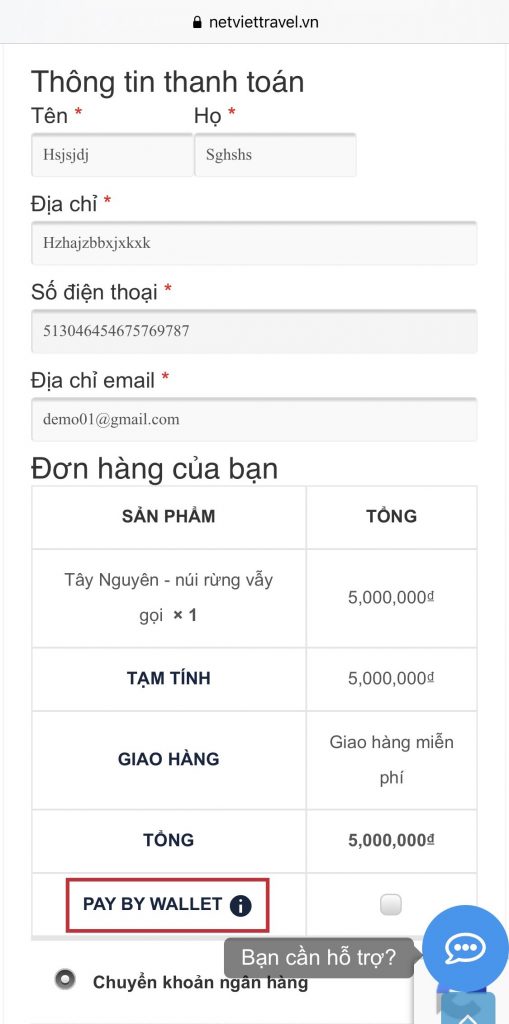 Hướng dẫn thanh toán với tính năng Ví tiền trên website của Netviet Travel