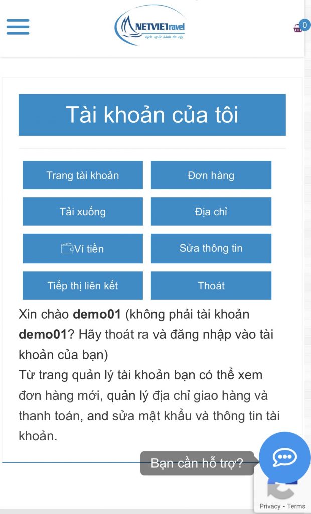 Hướng dẫn nạp tiền vào Ví tiền trên website của Netviet Travel